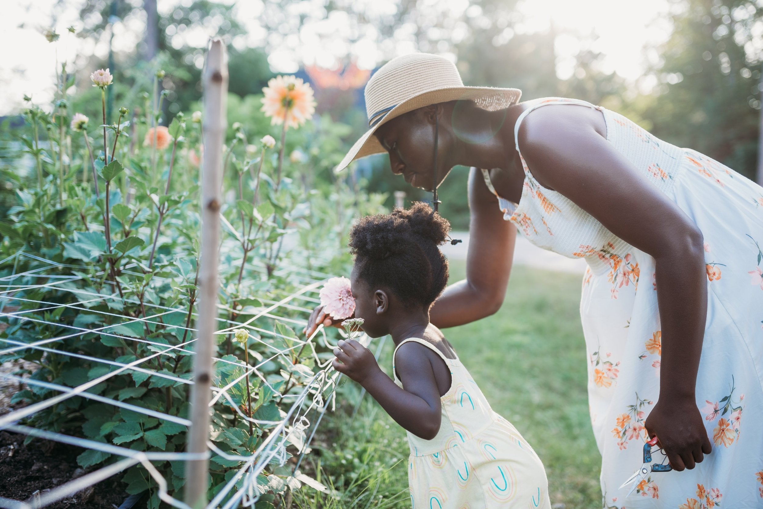 files/Renfrew_County_Flower_Farm_re.Planted_Urban_Farm.jpg